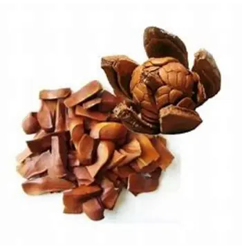  Natural Sky Fruit Seeds